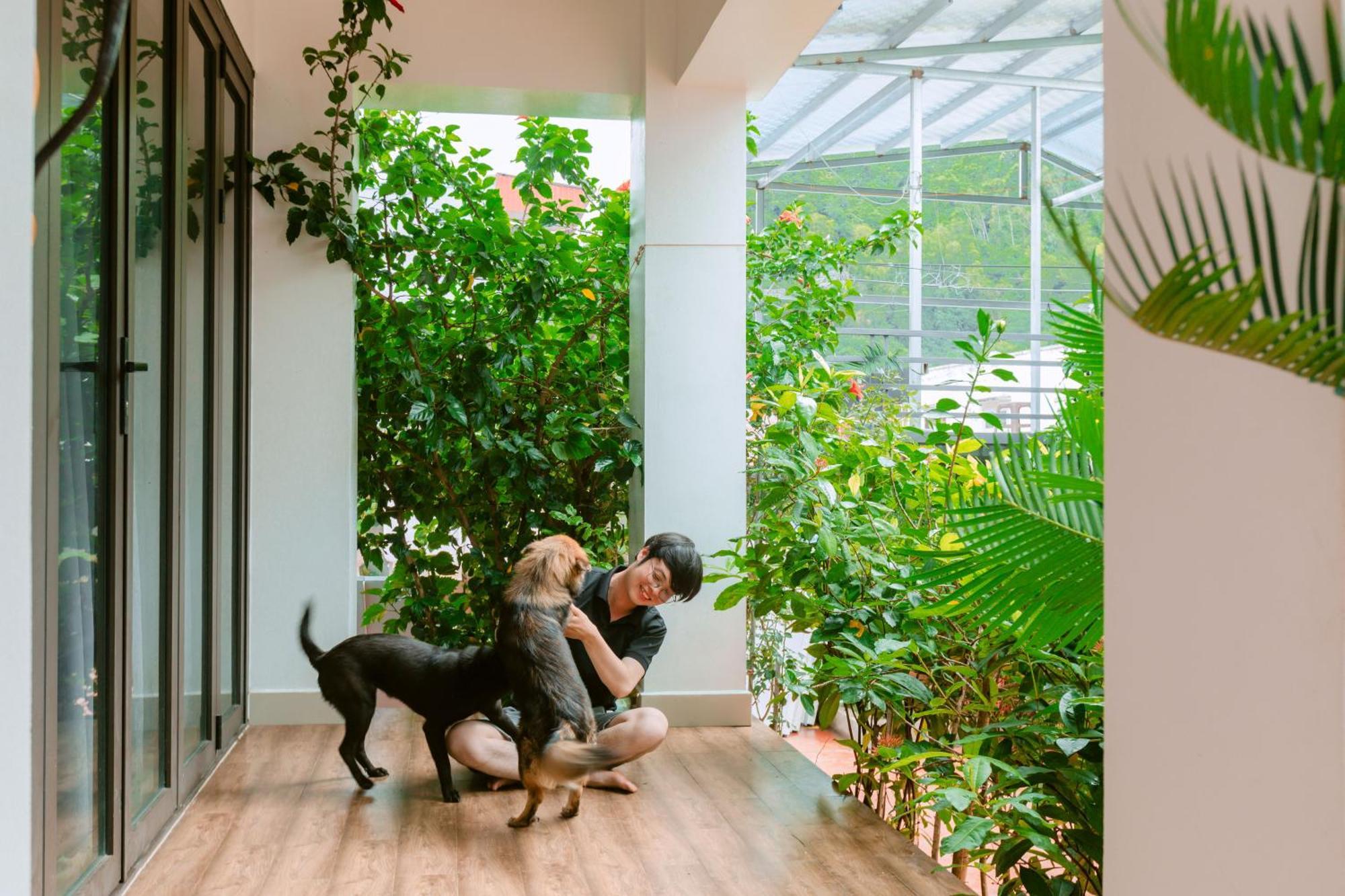 D'Home Homestay Cat Ba Dong Khe Sau Exterior photo